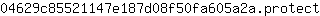 0***t