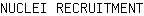 N***T