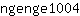 n***4