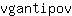 v***v