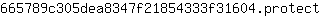 6***t