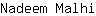 N***i