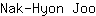 N***o