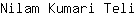 N***i