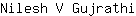 N***i