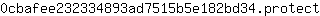 0***t