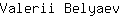V***v