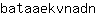 b***n