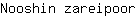 N***r