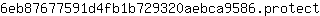 6***t