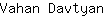 V***n