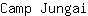 C***i