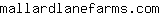 m***m