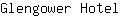 G***l