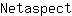 N***t