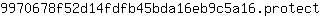 9***t