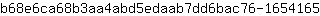 b***5