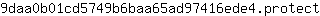 9***t