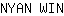 N***N