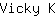 V***K