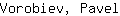 V***l