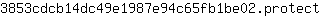 3***t