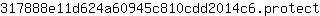 3***t