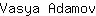 V***v