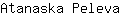 A***a