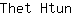 T***n