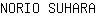 N***A