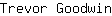 T***n