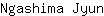 N***n
