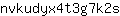 n***s