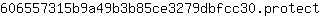 6***t