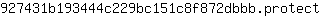 9***t