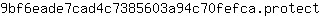 9***t