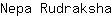 N***a