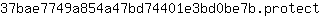 3***t