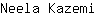 N***i
