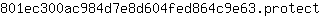 8***t