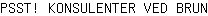 P***N