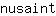 n***t