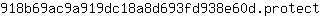 9***t