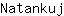 N***j