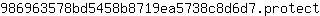 9***t