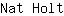 N***t