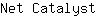 N***t