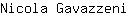 N***i