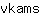 v***s
